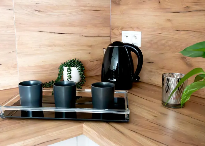 Na Lazarzu 12 公寓 *